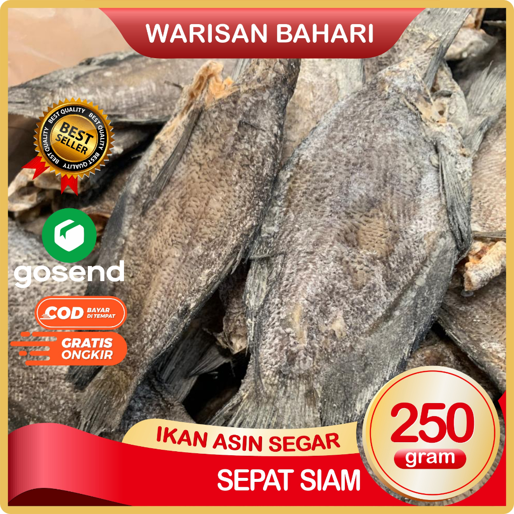 

Sepat Siam Ikan Asin Sepat Super Bersih Segar Dan Fresh 250 Gram