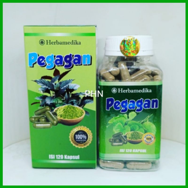 herbal kapsul pegagan herbamedika