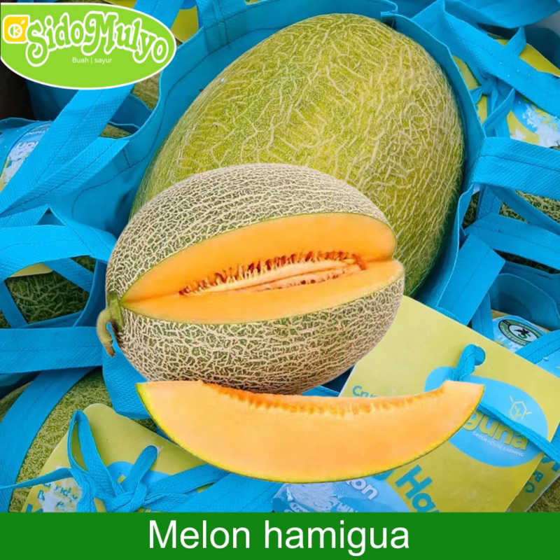 

Buah Melon Hamigua warna oren (manis&garing) 2 kg | ud sidomulyo fresh