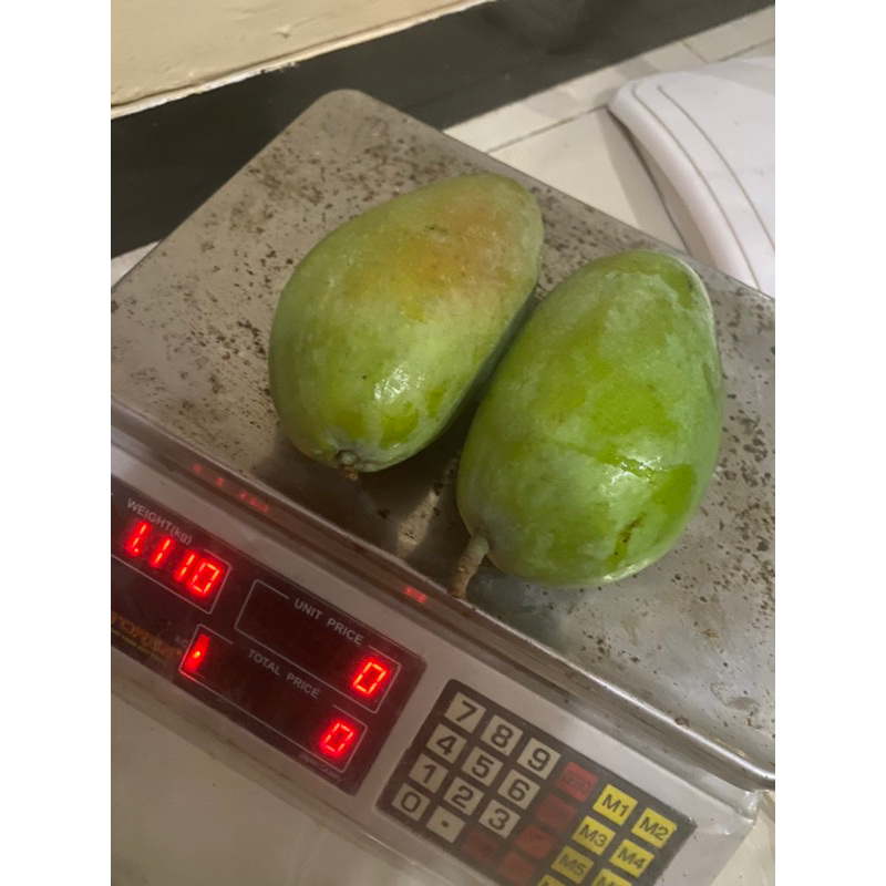 

buah mangga kiojay 2kg