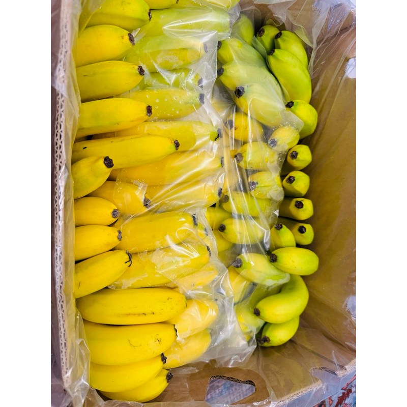 

pisang sunpride