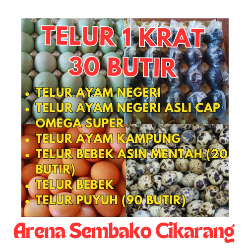 

(INSTANT / SAMEDAY ONLY) PROMOO TELUR 1 TRAY KRAT 30 BUTIR ARENA SEMBAKO CIKARANG