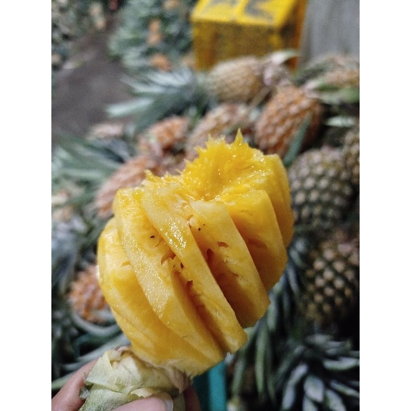 

Nanas Palembang KUPAS untuk rujak selai