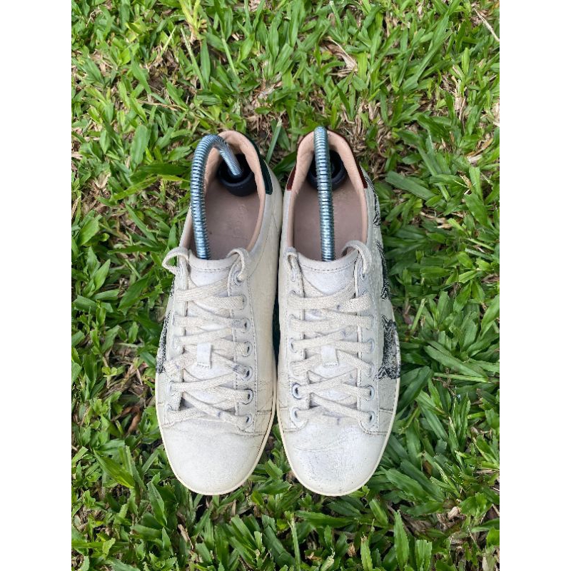 VGC GC SNEAKERS GUCCI