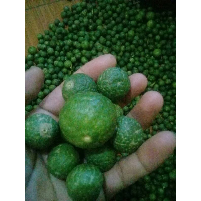 

jeruk limau jeruk limo/jeruk sambal 1kg