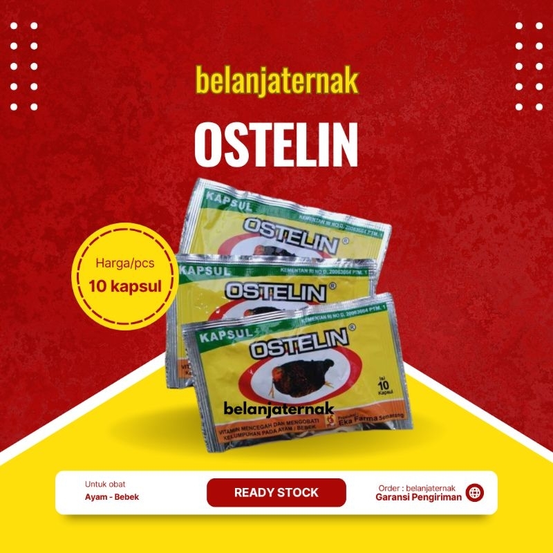 Ostelin - Obat Ayam Lumpuh - Ostelin 10 Kapsul