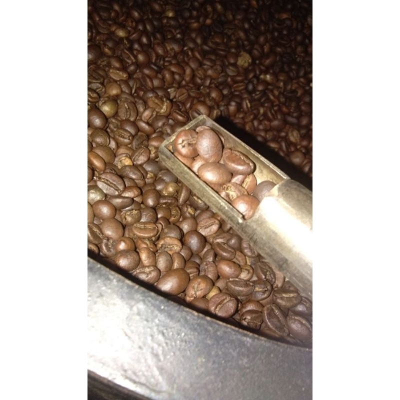 

kopi arabica gayo wine kualitas premium