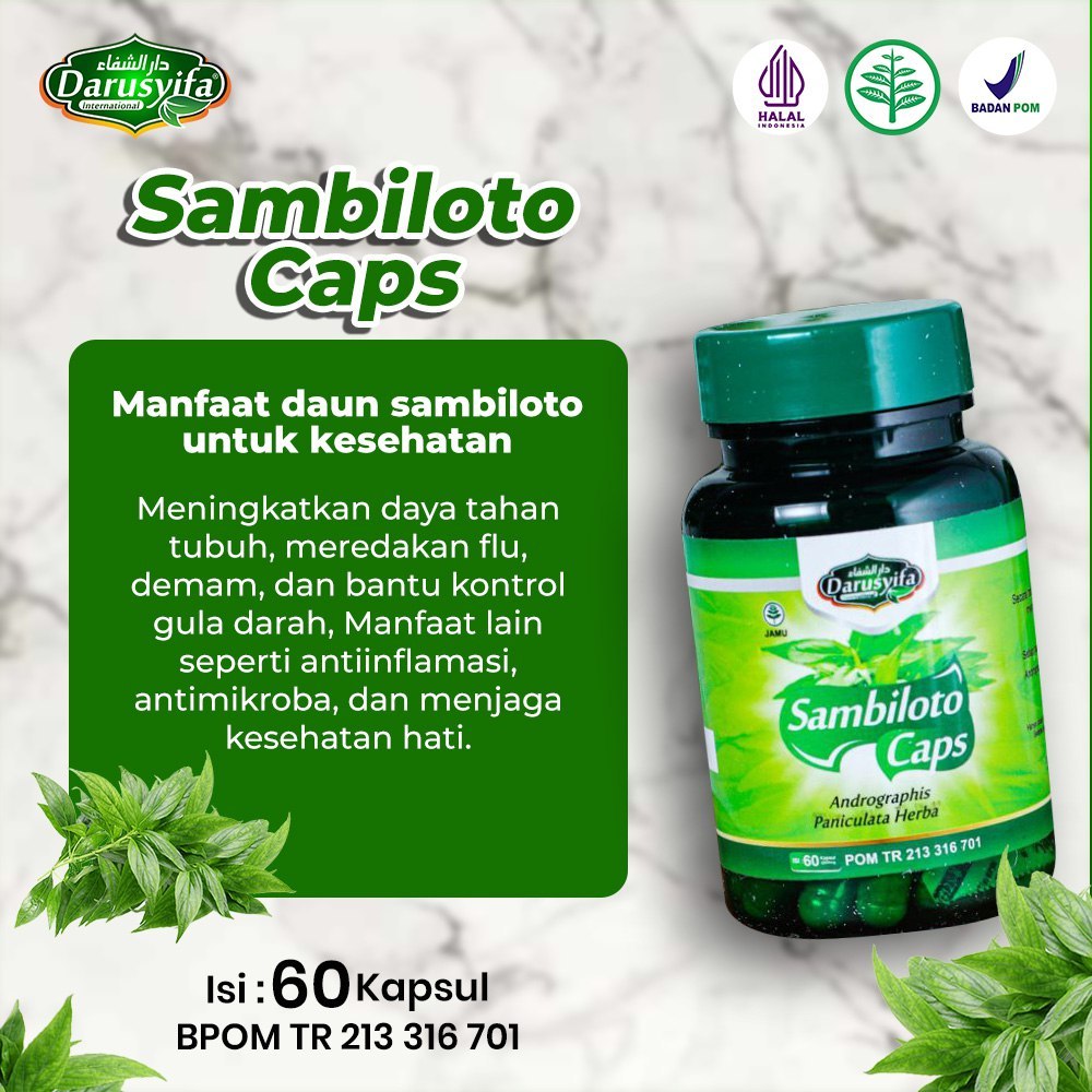 

KAPSUL SAMBILOTO CAPS DARUSYIFA 60 KAPSUL