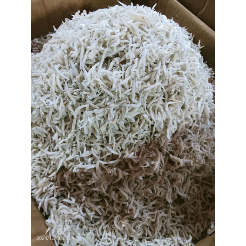 

250grm teri Medan size sedang