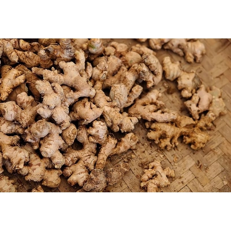 

JAHE EMPRIT ASLI 1KG