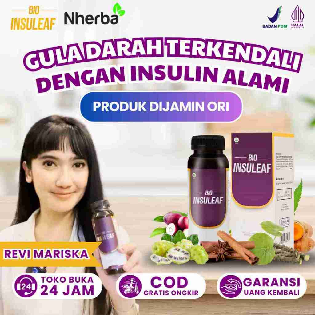 

Bio Insuleaf - Obat Herbal Bantu Atasi Diabetes Gula Darah Tinggi Kencing Manis Kolesterol Asam Urat