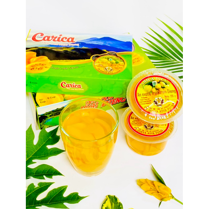 

CARICA DIENG Surya Adib Putra Kemasan besar 220ml