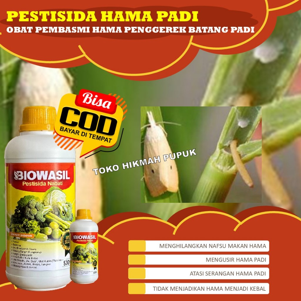 Bisa COD Obat Semprot Pembasmi Hama Sundep Padi pada semua Jenis Tanaman dengan Mudah BIOWASIL 500 m