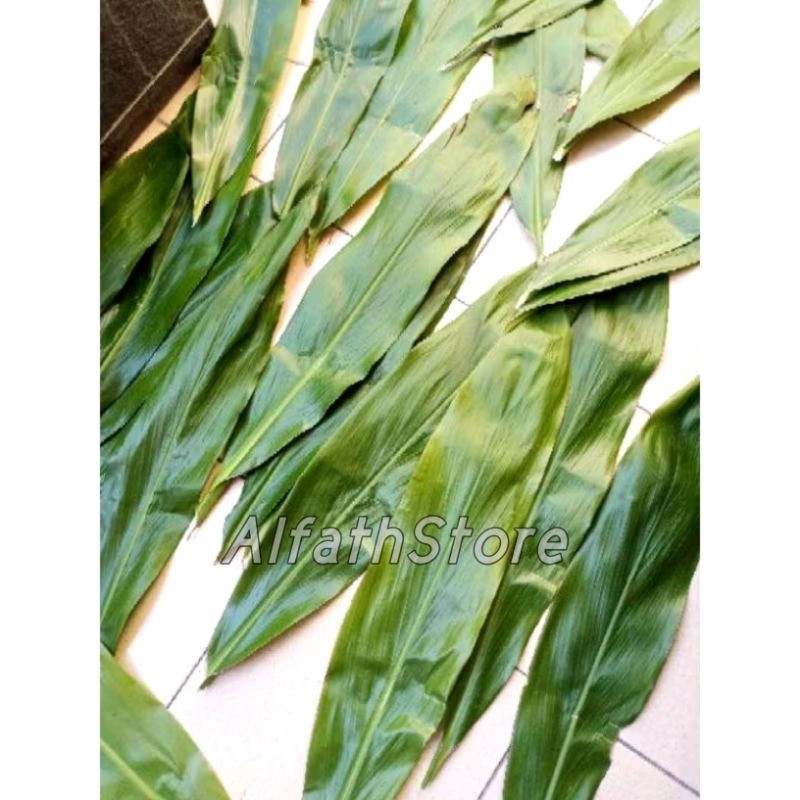 

500gram Bungkus Bacang Daun Hanjuang Hijau