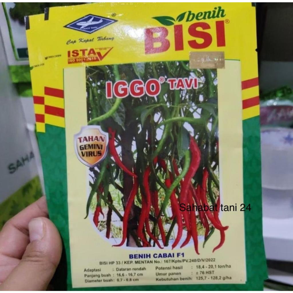 Benih cabe IGGO TAVI 10 gram benih cabe keriting iggo tavi dari bisi cap kapal terbang 10gram