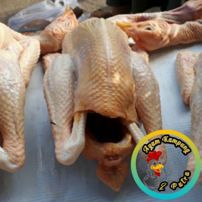 

Ayam kampung putra 800gram