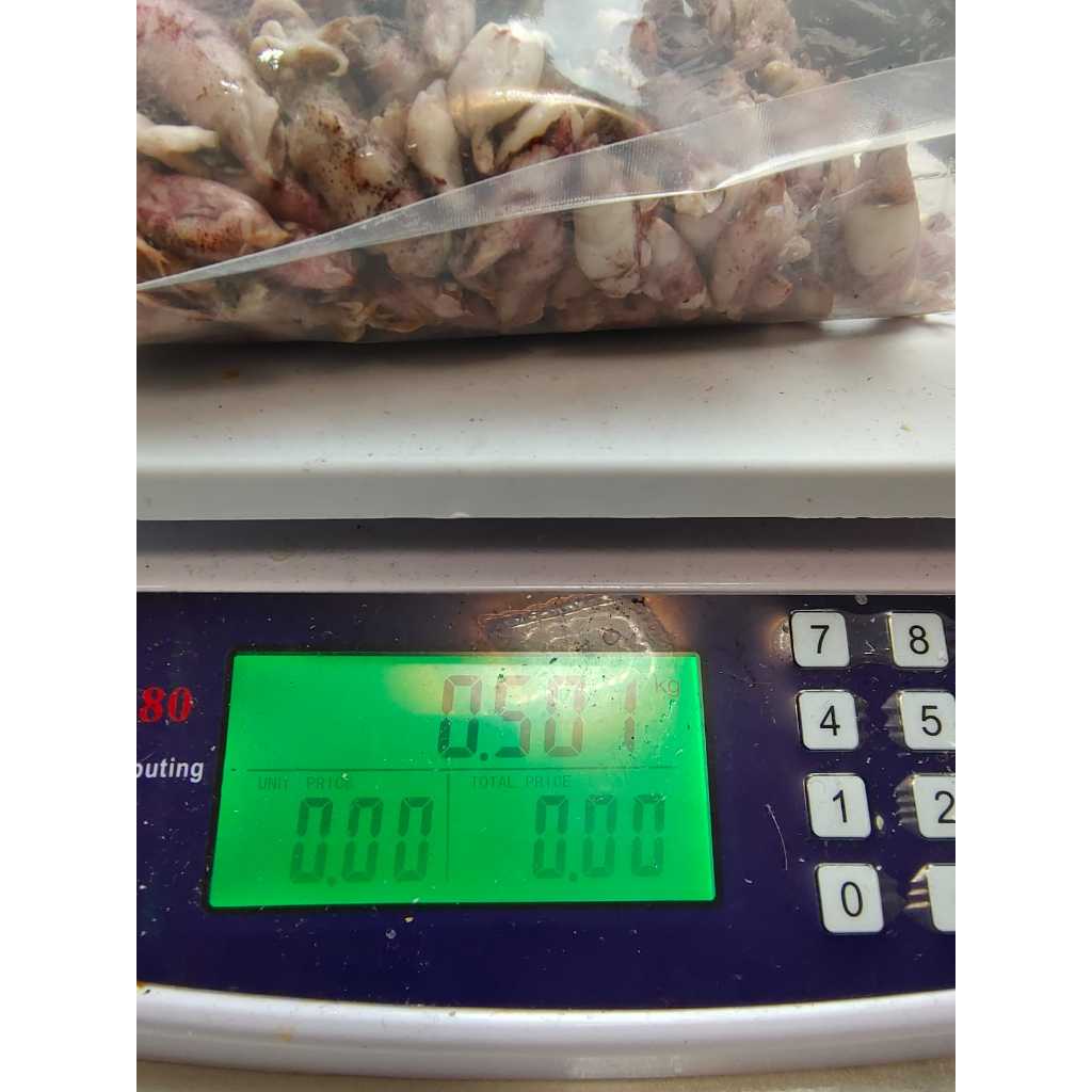 

LAKU Grosir Ikan Asin Dian - Ikan Asin Cumi Sontong Ukuran Sedang Berat Gram(Cumi Rebus)