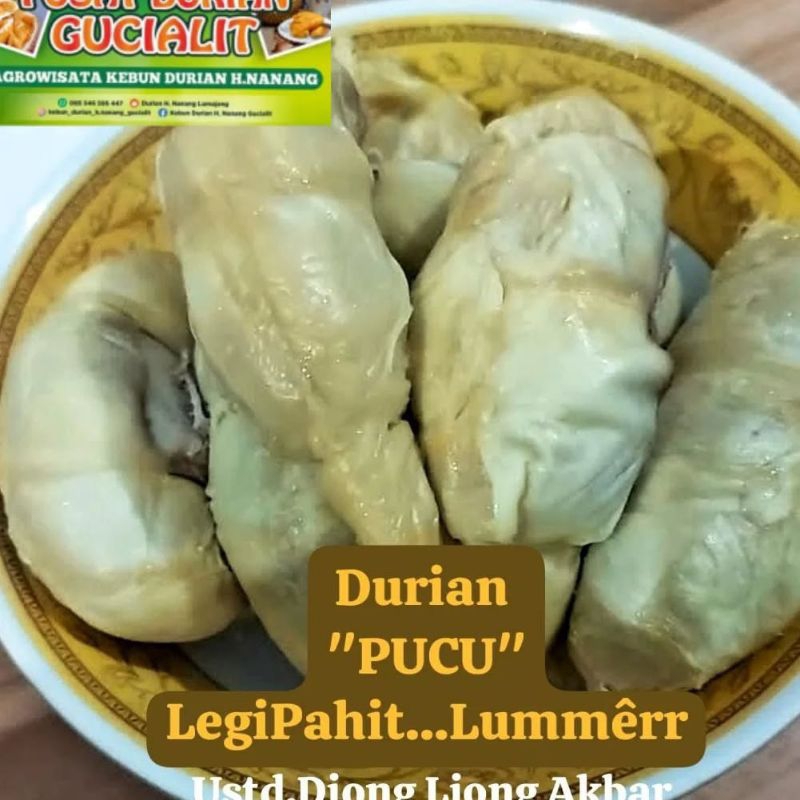 

DURIAN PUCU LEGI PAIT