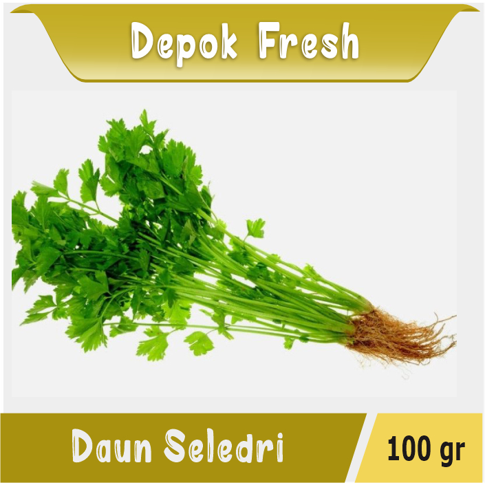 

DAUN SELEDRI SEGAR BERKUALITAS