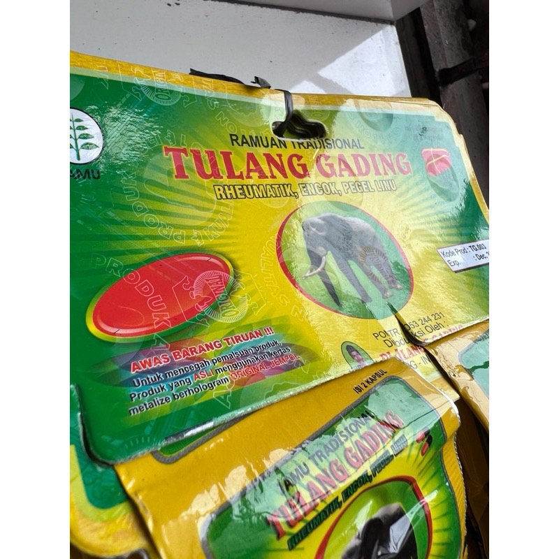 asamurat tulang gading kapsul