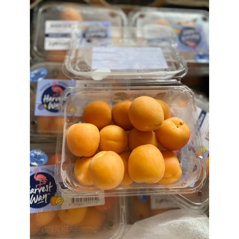 

PROMO Apricot Fresh Manis 500gr
