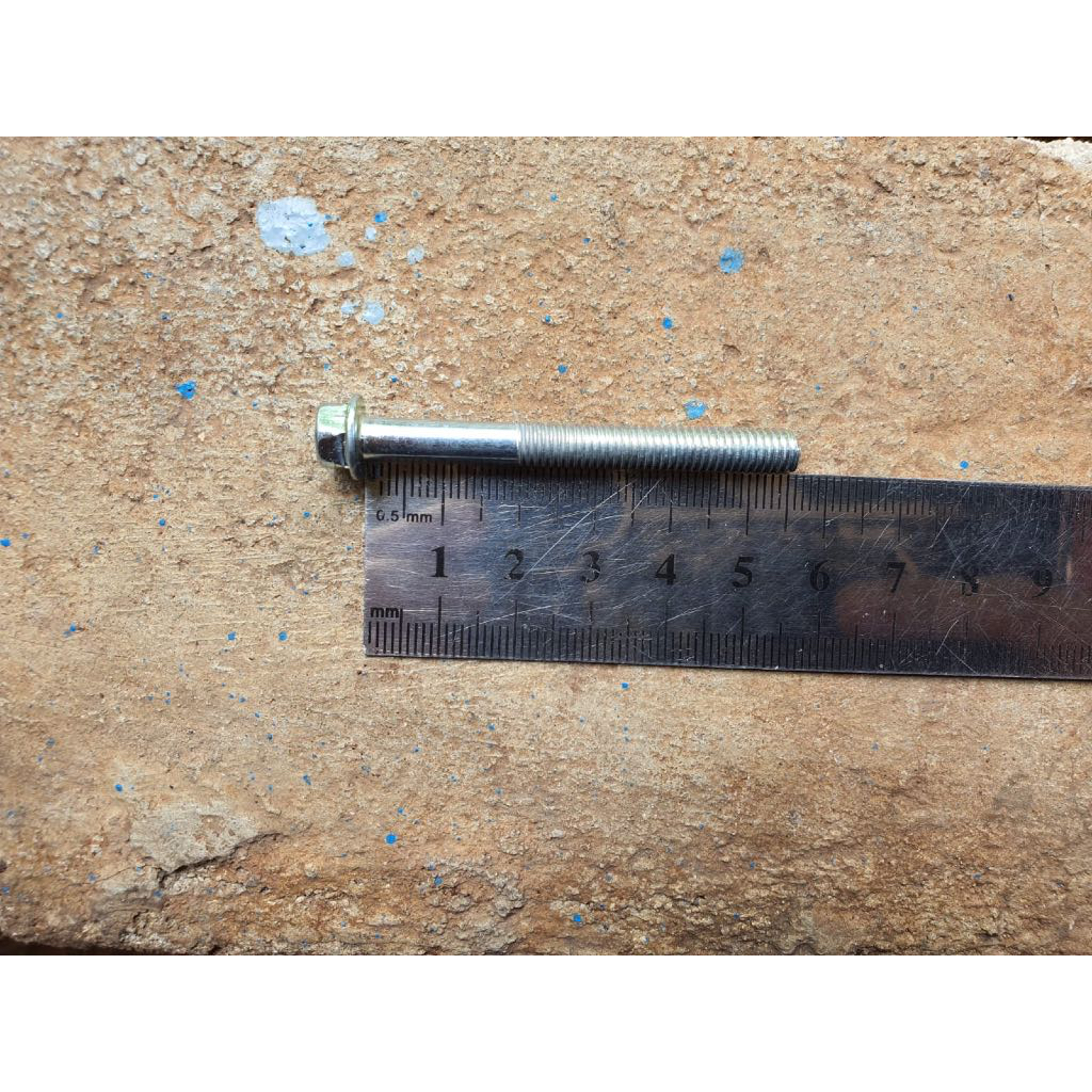 BAUT FLANGE BOLT M 6 X 55 KUNCI 8