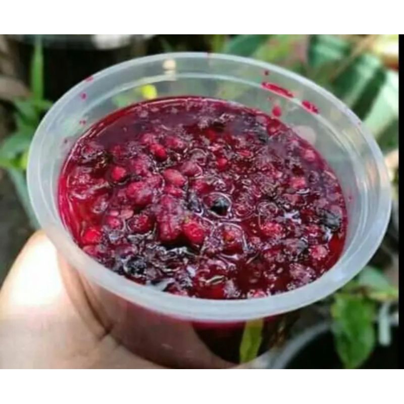 

rujak buni
