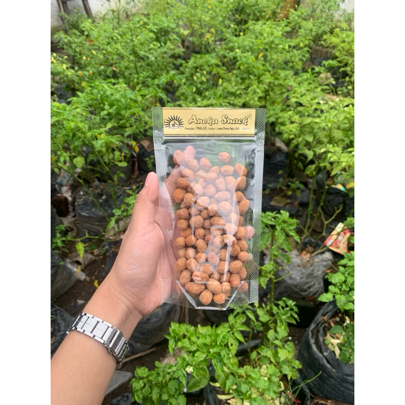 

kacang telur