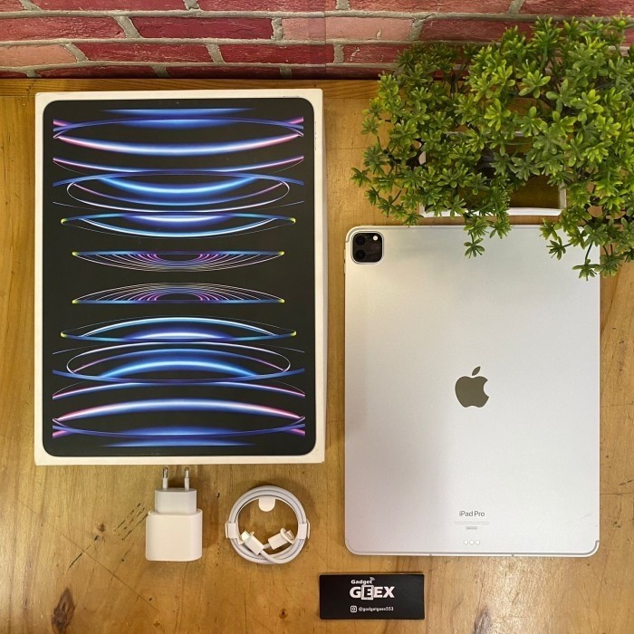 iPad Pro M2 Chip 12.9 inch 6th gen 512GB wifi cell Silver Super Like new resmi iBox