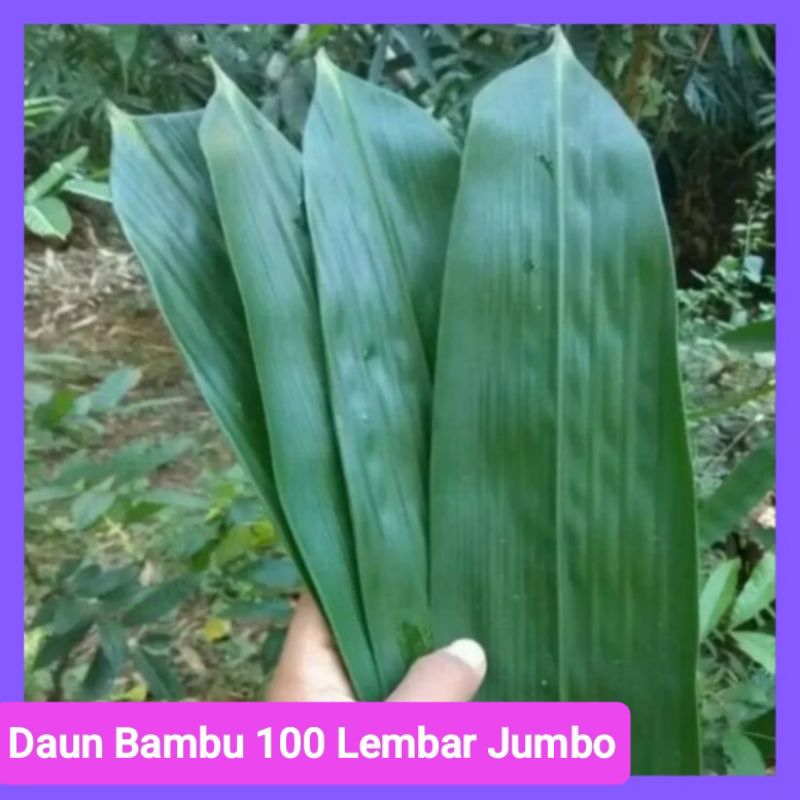

Daun Bambu Jumbo 100 Lembar