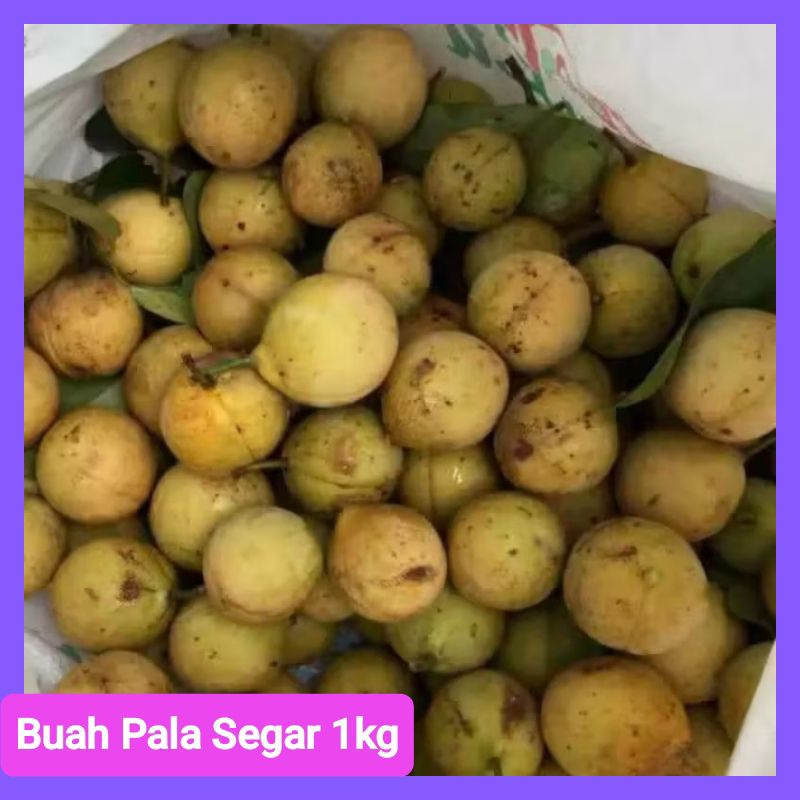 

Buah Pala Segar Mentah 1kg
