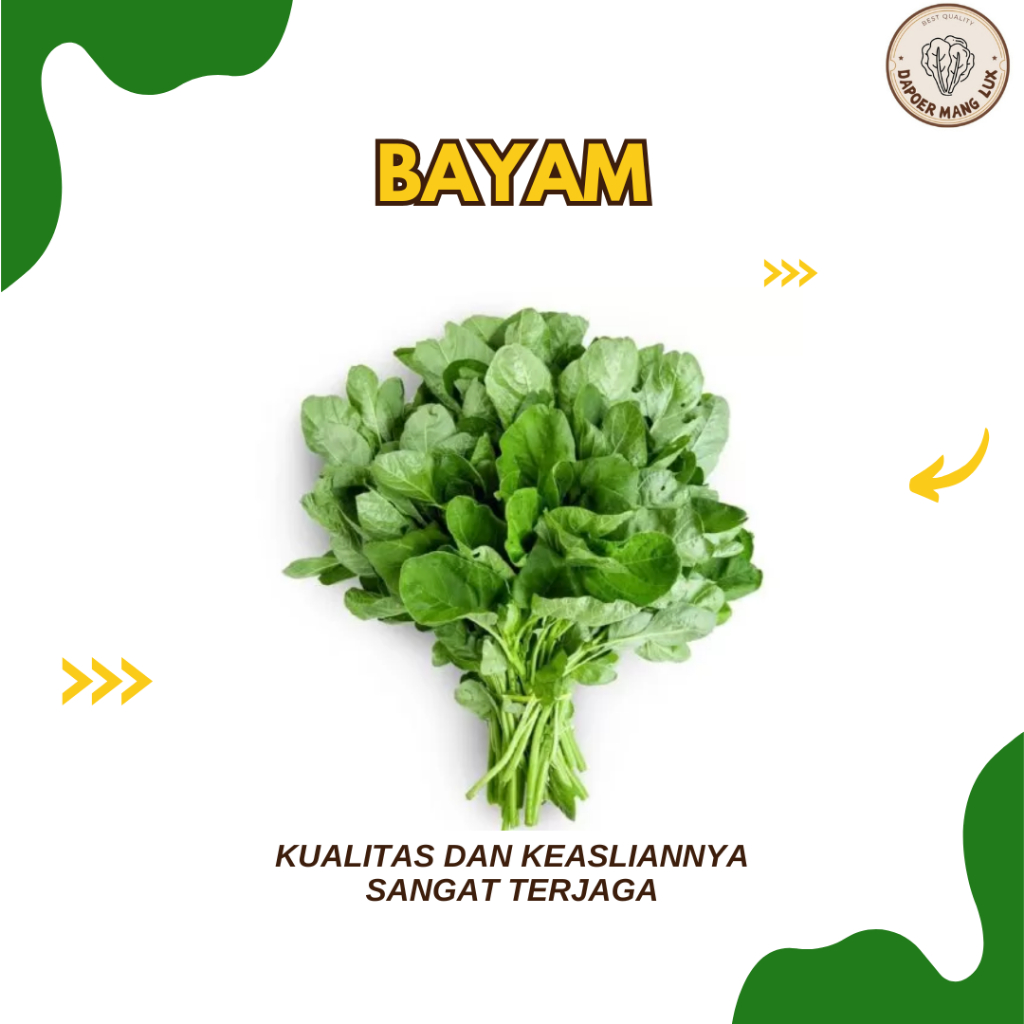 

BAYAM 1 IKAT BEST QUALITY