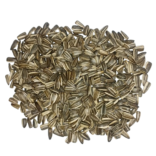 

Kuaci Impor Mentah Ukuran Besar (LARGE) 500 gram Repack