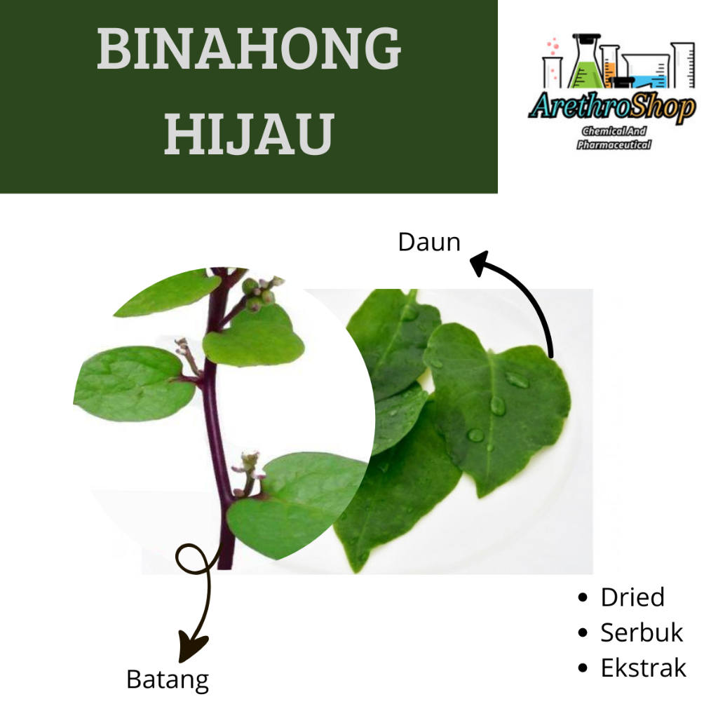 

SERBUK DAN DRIED BINAHONG HIJAU BEST PRODUCT