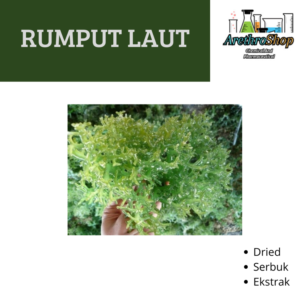 

SERBUK DAN DRIED RUMPUT LAUT BEST PRODUCT