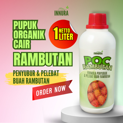 Pupuk Booster Buah Rambutan Perangsang Buah Rambutan Penyubur Rambutan Berbuah Lebat Tidak Rontok