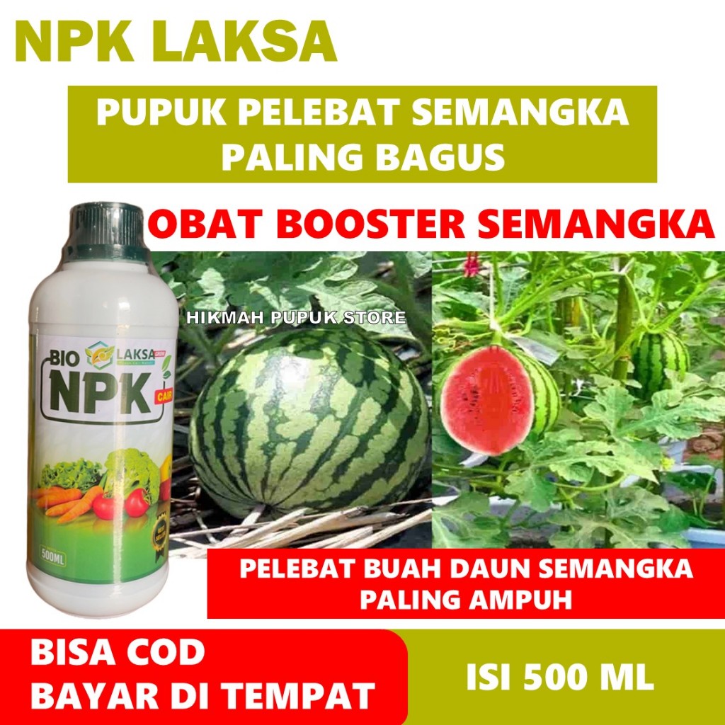 PUPUK PELEBAT BUAH SEMANGKA PALING BAGUS NPK LAKSA PUPUK PENYUBUR DAUN AKAR DAN BATANG SEMANGKA TERL
