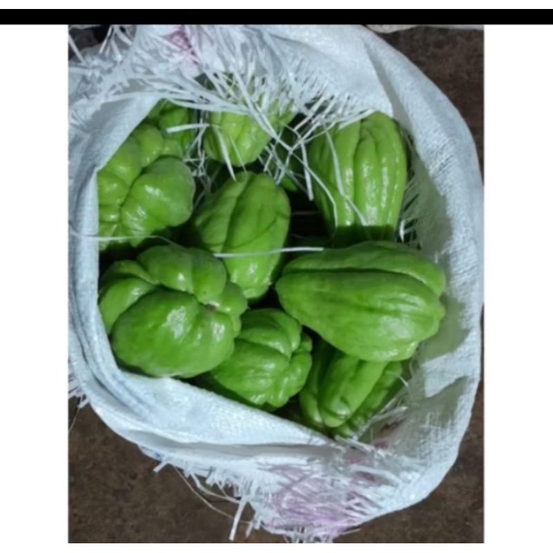 

labu Siam fresh 1 kg