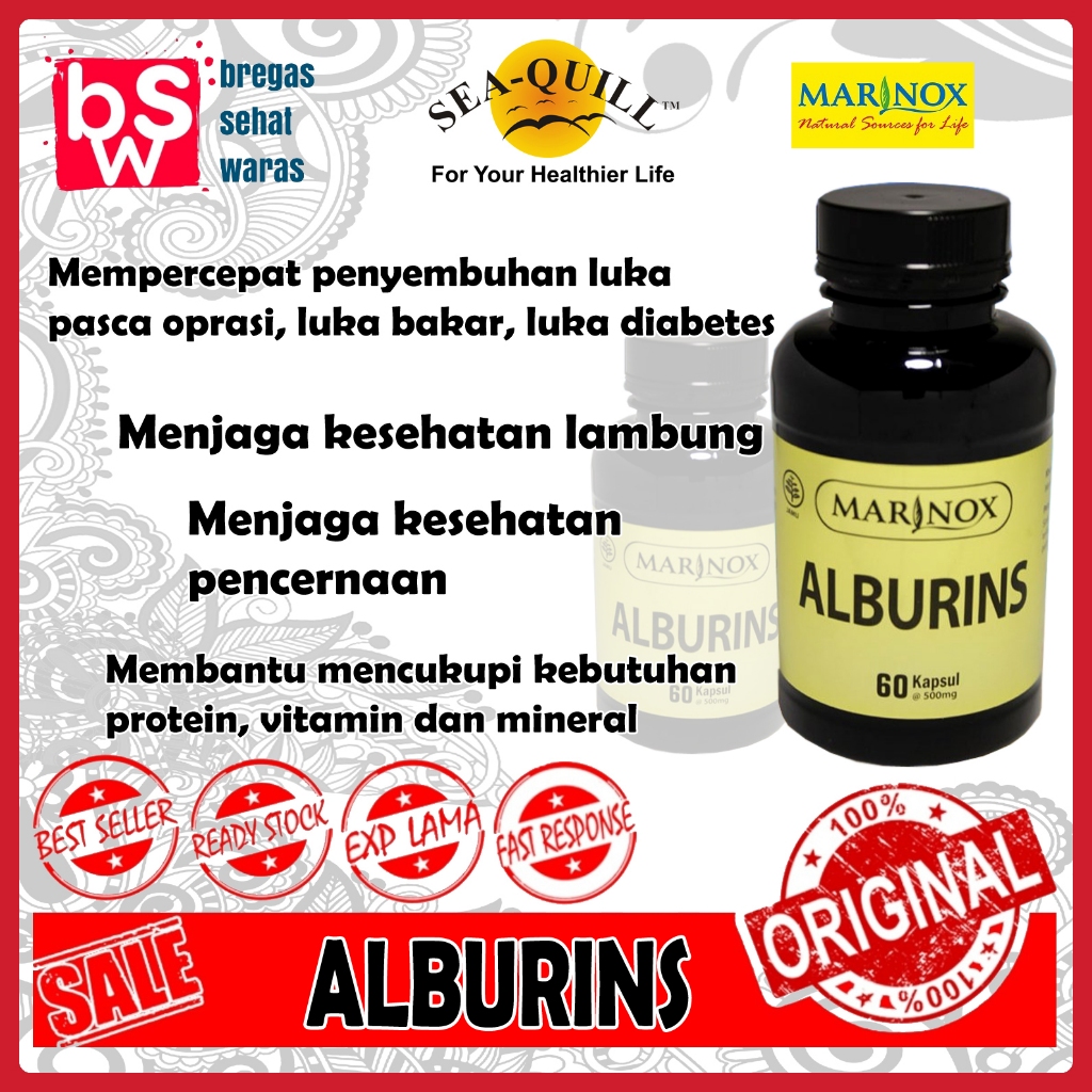 MARINOX ALBURINS-60 Albumin Ikan Gabus-Spirulina-Pengering Luka Diabetes dan tulang