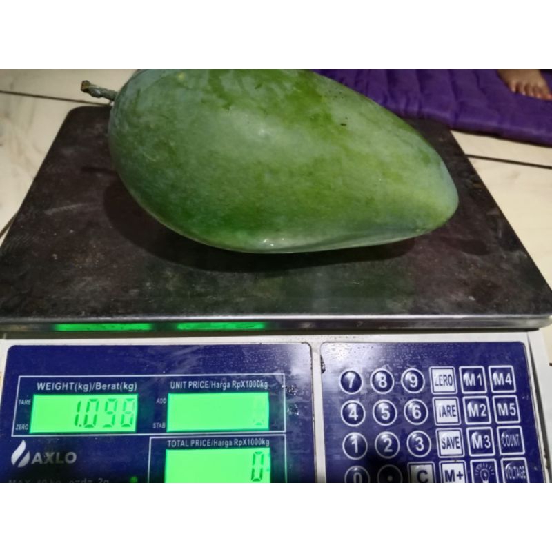 

MANGGA KIOJAY berat 2 kg