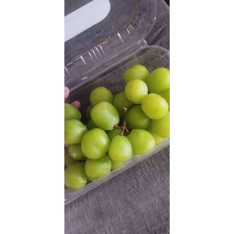 

anggur shine muscat