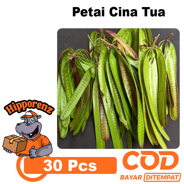 

Petai Cina Tua 30 Pcs Untuk Sayur Asem Buntil Botok