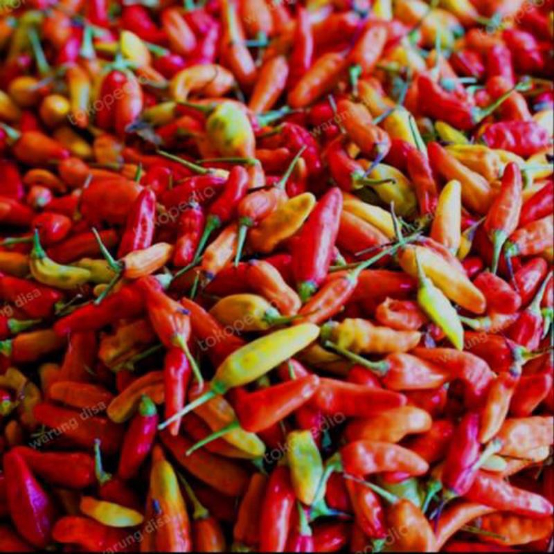 

cabai rawit merah setan - sayur fresh