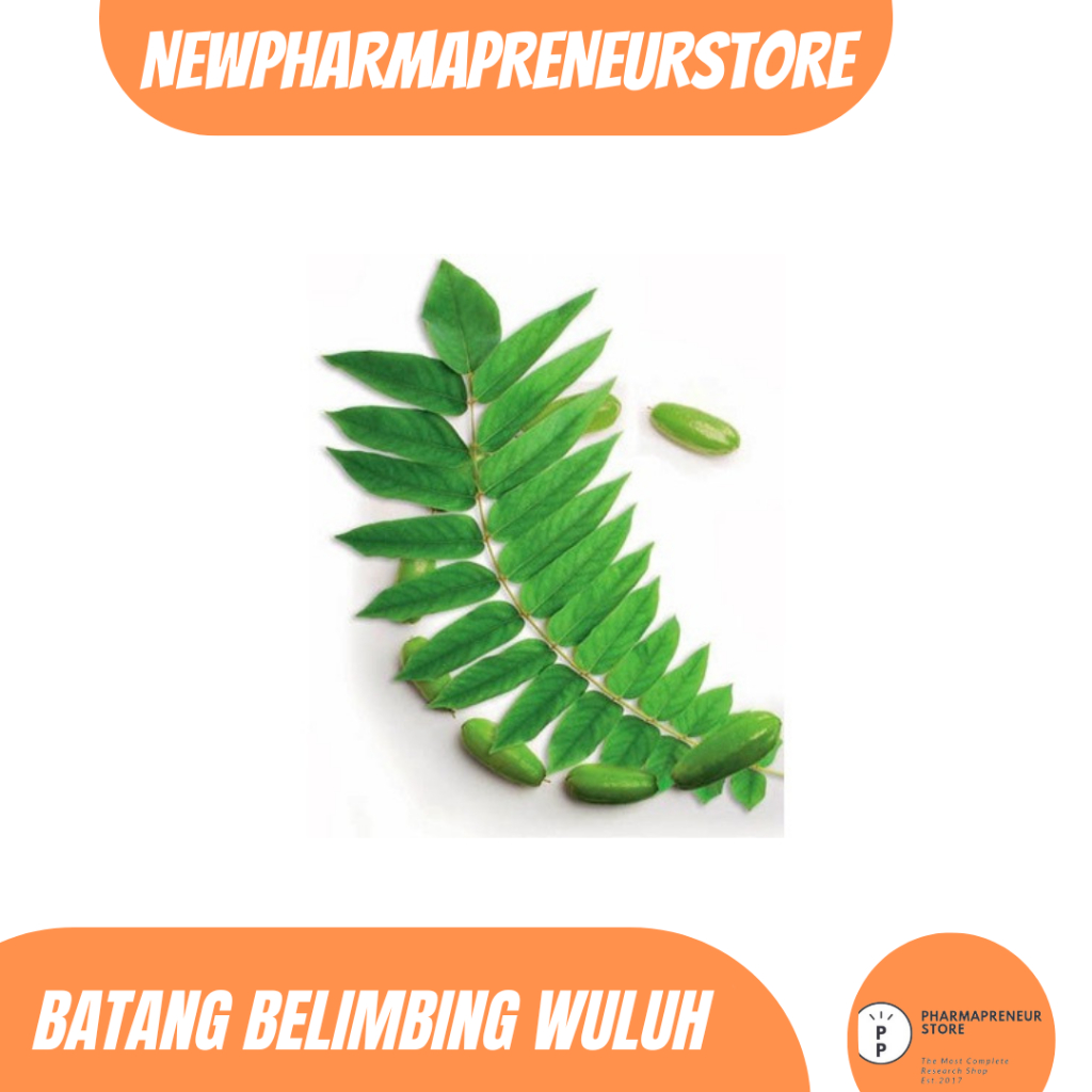 

DRIED SERBUK BATANG BELIMBING WULUH BEST QUALITY
