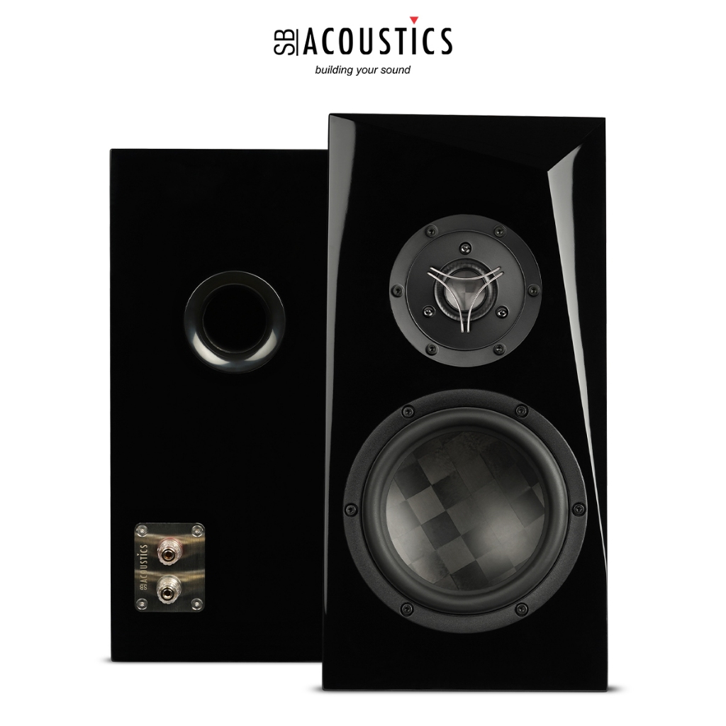 SB Acoustics Speaker Kits Complete ARA-TX