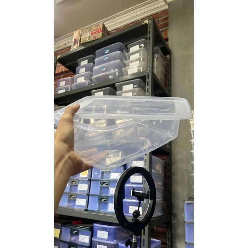 Kandang Box Reptile Gecko