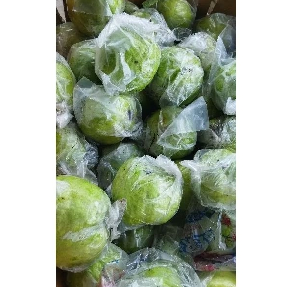 

JAMBU KRISTAL Non Biji 500gr Asli Pesisir KEBUMEN