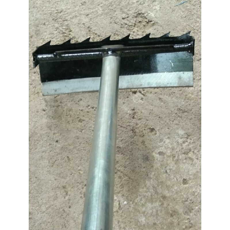 GARUK GULMA/GARUK RUMPUT LIAR