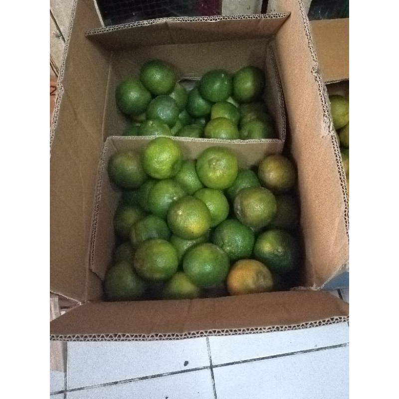 

jeruk siam / siem banyuwangi 1 kg