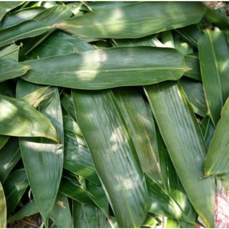 

daun bambu Fress lebar 5-7cm isi 100lembar (godong Pring)